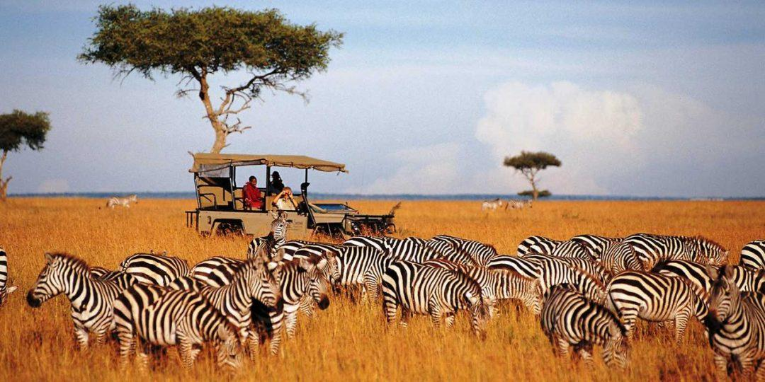 Luxury safari in Africa